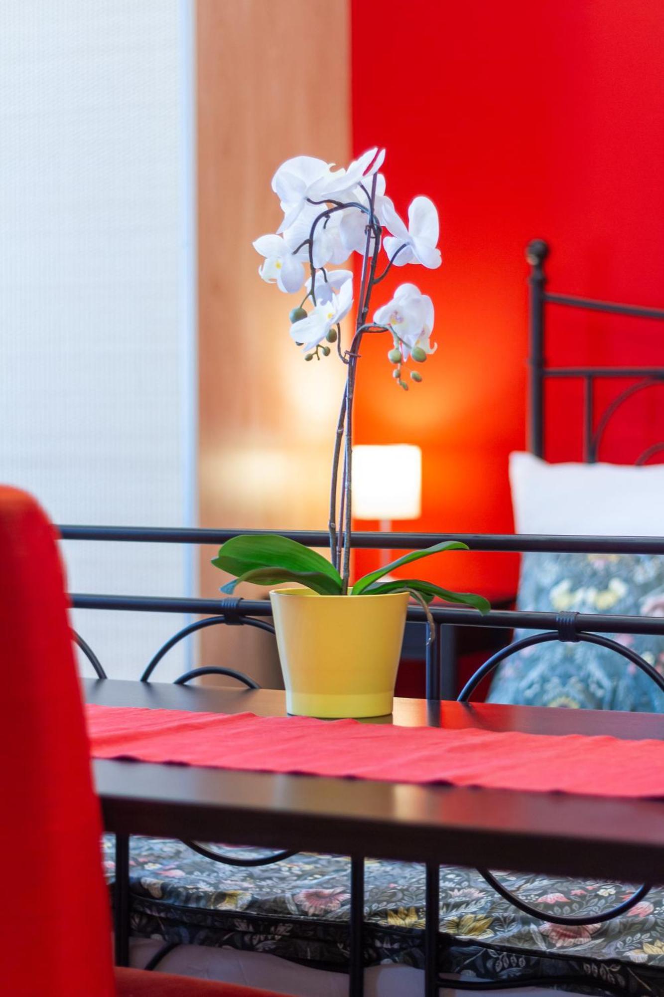 Badepest Apartment บูดาเปสต์ ภายนอก รูปภาพ